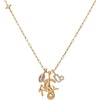 Capricorn