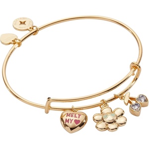 ALEX AND ANI Sweethearts® Bracelets(Mixed Multi Charm Bangle)