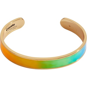 Alex and Ani Crayola Fan Favorites Rainbow Resin Cuff(Shiny Gold)