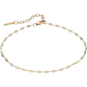 Alex and Ani Faceted Lip Chain Anklet(Shiny Gold)