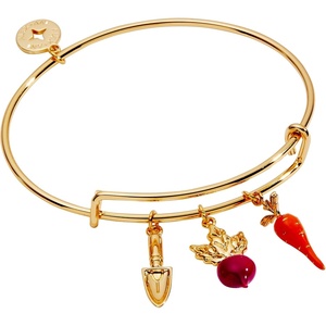 Alex and Ani Farmer’s Market Multi Charm Bangle, Brass Shiny Gold