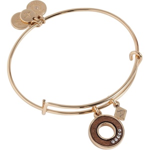 Alex and Ani First Anniversary Bangle(5 Year Anniversary)