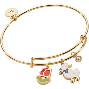 Alex and Ani Garden Party Bracelet(Duo Charm Bangle)