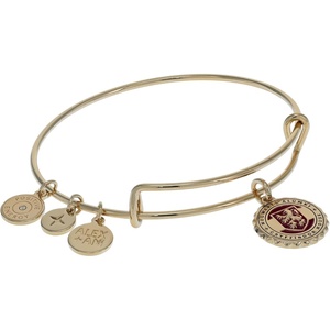 Alex and Ani Harry Potter™ Gryffindor House Charm Bangle