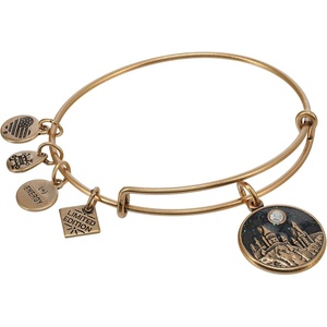 Alex and Ani Harry Potter Hogwarts Castle Charm Bangle