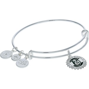 Alex and Ani Harry Potter Slytherin House Pendant Necklace, Adjustable(Engravable Pendant Bracelet)