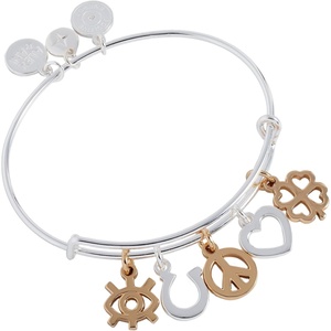 Alex and Ani Hearts Multi-Charm Bangle(Mixed Symbol Multi-Charm EWB)