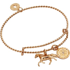 Alex and Ani Horse Rope Textured Charm Bangle(Shiny Gold)