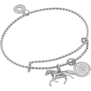 Alex and Ani Horse Rope Textured Charm Bangle(Shiny Silver)