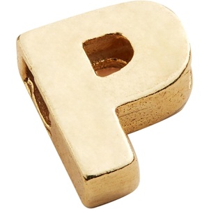 Alex and Ani Initial P Slider Charm