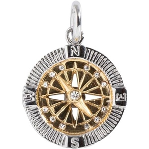 Alex and Ani Interchangeable Gemstone Charm​(Stainless Two Toned)