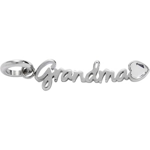 Alex and Ani Loved Ones Elongated Interchangeable Charms(Stainless Silver)