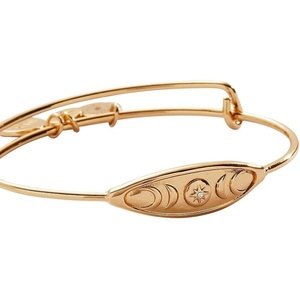 Alex and Ani Moon Phases Inline Bangle