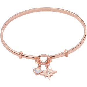 Alex and Ani North Star + Crystal Charm Clip Bangle(Shiny Rose Gold)