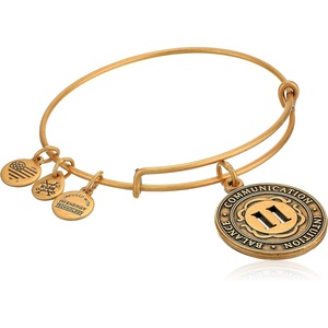 Alex and Ani Number 11 Charm Bangle | Compassion, Communication and Intuition