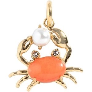 Alex and Ani Pave Anchor Interchangeable Charm(Alex and Ani Interchangeable Crab Charm)
