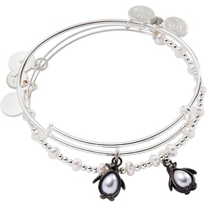 Alex and Ani Penguin Bangle Set of 2