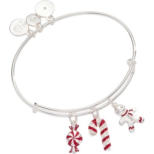 Alex and Ani Peppermint Candy Cane Bracelets(Candy Cane Charm Bangle)