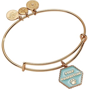 Alex and Ani Raise the Woof Dog Bangle(Stay Pawsitive Bangle)