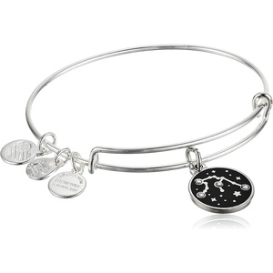 Alex and Ani Sagittarius Zodiac Charm Bangle(Silver)