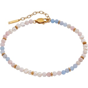 Alex and Ani Semi-Precious Beaded Anklet(Multi)