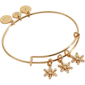Alex and Ani Snowflake Bracelets(Snowflake Multi-Charm Bangle)