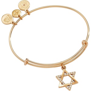 Alex and Ani Star of David Bangle(Gold)