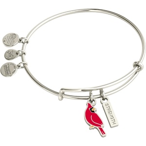 Alex and Ani Strength’ Cardinal Duo Charm Bangle Bracelet(Shiny Silver)