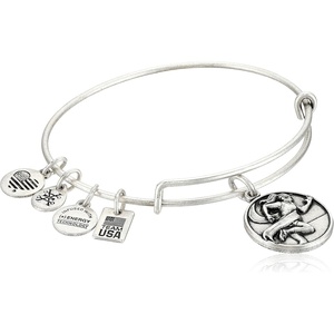 Alex and Ani Team USA Track + Field Charm Bangle(Silver)
