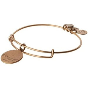 Alex and Ani Tension Bangle Base Bracelet, Shiny Gold