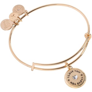 Alex and Ani Token of Love Charm Bangle