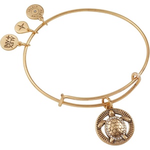 Alex and Ani Turtle Charm Bangle