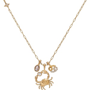 Alex and Ani Zodiac Charm Cluster Necklace(Cancer)