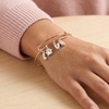 ALEX AND ANI Pet Love Bracelets(Pet Love)