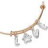 ALEX AND ANI Pet Love Bracelets(Pet Love)