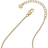 Alex and Ani Coffee Bean Necklace, Tri-Tone