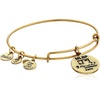 Alex and Ani Kansas City Royals MLB Charm Bangle(Rafaelian Gold)