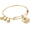 Alex and Ani New England Patriots Mascot NFL Charm Bangle(Rafaelian Gold)