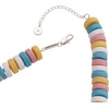 Alex and Ani Smarties Necklace(Multi)