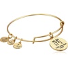 Alex and Ani Washington Nationals Cap Logo Expandable Bangle Bracelet(Rafaelian Gold)