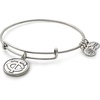 Alex and Ani Women’s MLB Minnesota Twins Charm Bangle Rafaelian Silver Finish Bracelet | Women’s