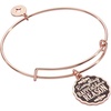 Alex and Ani Words are Powerful Expanded Wire Bracelets(Everything Happens For A Reason’ (Rose Gold))