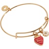 Alex and Ani You’re The Berry Best Bangle, Brass Shiny Gold