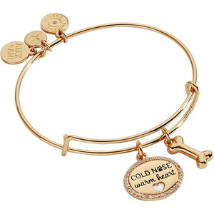 ALEX AND ANI Pet Love Bracelets(Cold Nose  Warm Heart)
