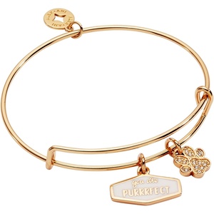 ALEX AND ANI Pet Love Bracelets(You Are Purrrfect)