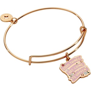 Alex and Ani ‘Good Things Are Going to Happen’ Charm Bangle Bracelets(Shiny Gold)