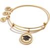 Alex and Ani Class of 2020 Charm Bangle(Rafaelian Gold)