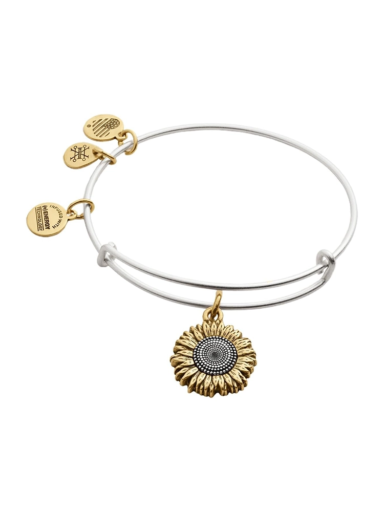 Alex And Ani Official Store | Charm Bracelets, Necklaces, Earrings & Personalized Jewelry